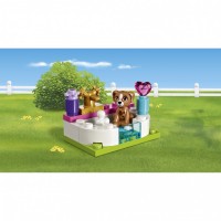 Конструктор LEGO Friends Выставка щенков: Салон красоты (41302)