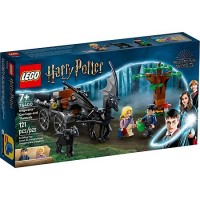 Конструктор LEGO Harry Potter Hogwarts Carriage and Thestrals 76400