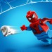 Конструктор LEGO DC Super Heroes Человек-Паук и Призрачный Гонщик против Карнажа 76173